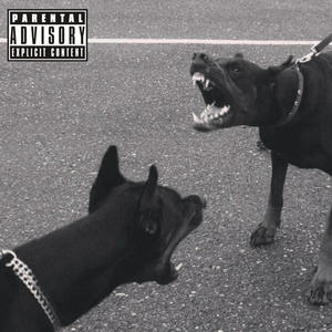 DOG FIGHT (Explicit)