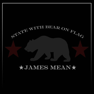 State with Bear on Flag