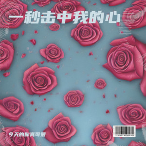 一秒击中我的心