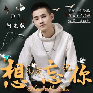 想彻底忘记你 (DJ阿杰版伴奏)