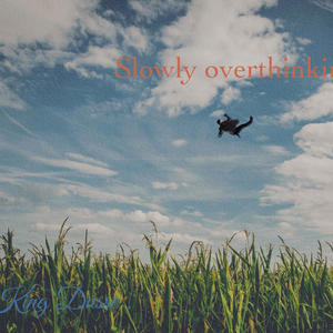 Slowly overthinking (Explicit)