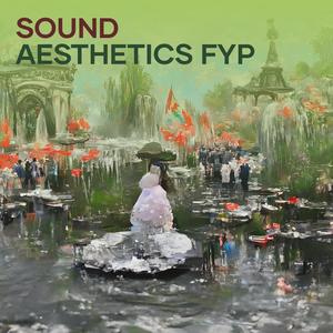 Sound Aesthetics Fyp