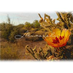 Miracoli (feat. SOPHIA) (Explicit)