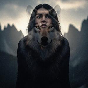 The Wolf inside the Walls