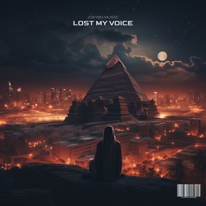 Lost My Voice