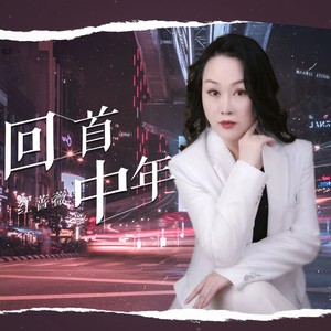 回首中年 (女版DJ伴奏)