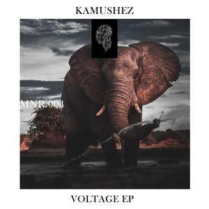 Voltage EP