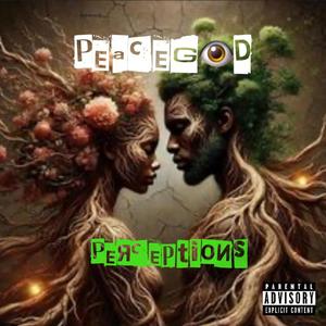 Perceptions (Explicit)