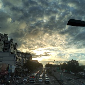 蔷薇的诗与妄想以及狗的绝爱与忧愁