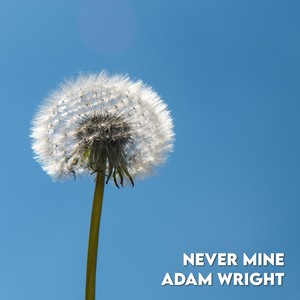 Never Mine