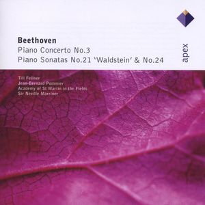 Beethoven: Piano Concerto No. 3 in C Minor, Op. 37 - II. Largo