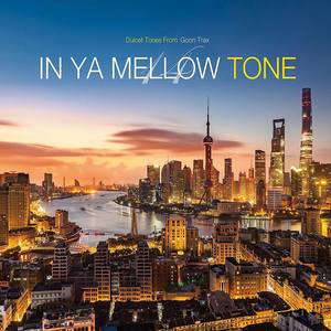 IN YA MELLOW TONE GOON TRAX 14