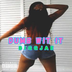 Dumb Wit It (Explicit)