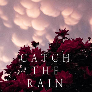 Catch The Rain