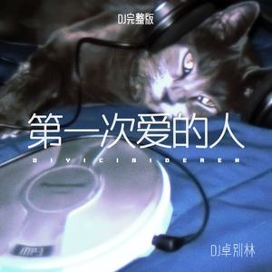 DJ卓别林 - 第一次爱的人 (DJ版)