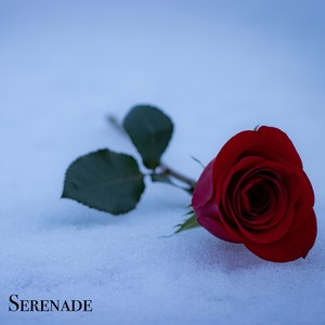 Serenade