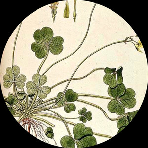 Irish Exit (Gianni Cerri Remix)