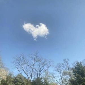 findus? (feat. Saazii) (Explicit)