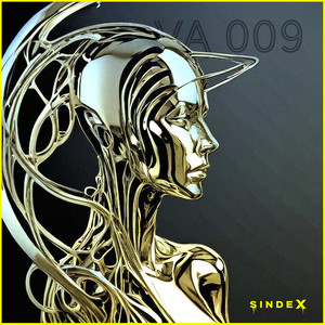 SINDEX VA 009