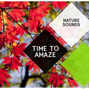 Time to Amaze - Nature Sounds