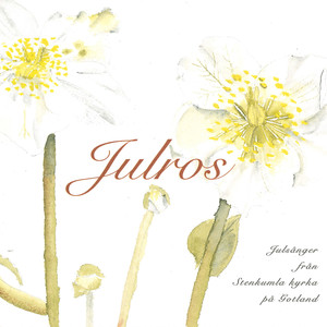 Julros