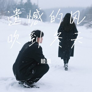 遗憾的风吹到冬天