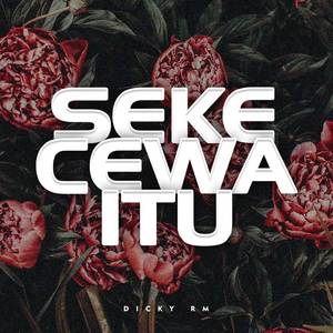 Sekecewa Itu (Cover Version)