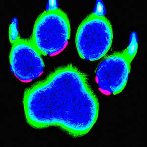 Riigs - White Summer