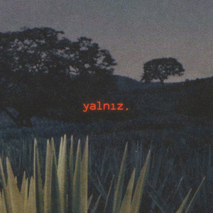 Yalnız.