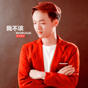 我不该
