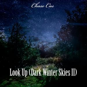 Look Up (Dark Winter Skies II)