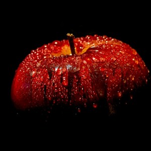 Primo(Prod By Last Dude)