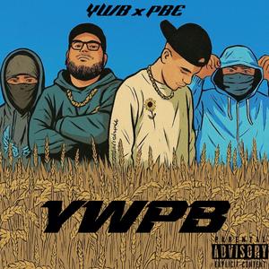YWPB (feat. YWB Choppa, DEFINIT & BRANNON) (Explicit)