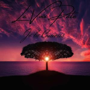 Je la connais (Explicit)