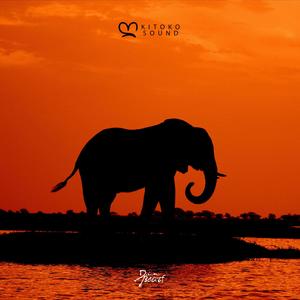 Botswana (feat. Kanda Beats, Din BEATS & Kitoko Drums)