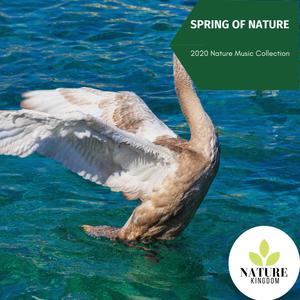 Spring of Nature - 2020 Nature Music Collection