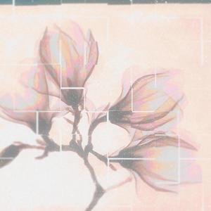 magnolia (feat. Matt Priscilla) (Sped Up)