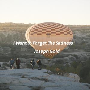I Want To Forget The Sadness