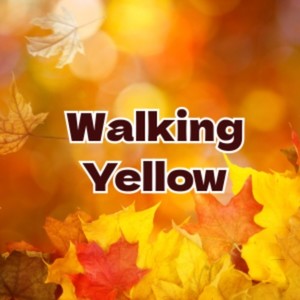 Walking Yellow