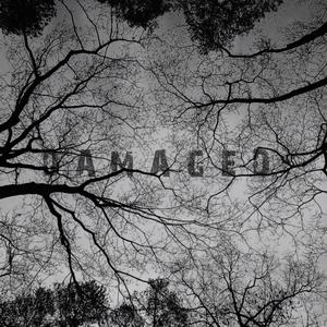 Damaged (Explicit)