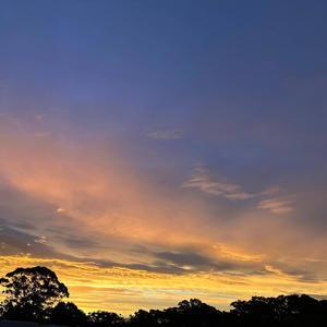 Missing You, Missing Us