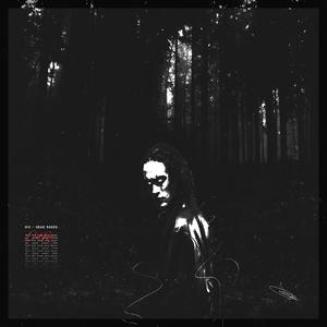 DeadRoses (feat. recourse) (Explicit)