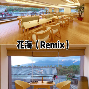 隔岸观火 (Remix)