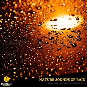 Nature Sounds of Rain - Dewy, Light and Dark Atmospheres, Vol. 6