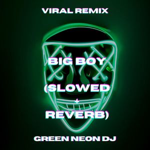 Big Boy (Tik Tok Slowed+Reverb) (Remix)