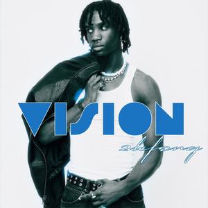 VISION (Explicit)