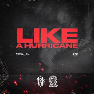 Like a Hurricane (feat. TZK) (Radio Edit)
