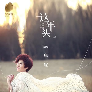 这年头 (DJ沈念版)