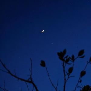 只剩沉默 (吉他演奏版)