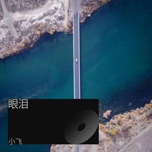 眼泪落下之前-小飞